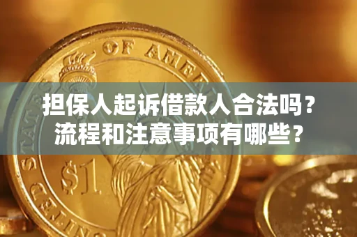 北京担保人起诉借款人合法吗？流程和注意事项有哪些？