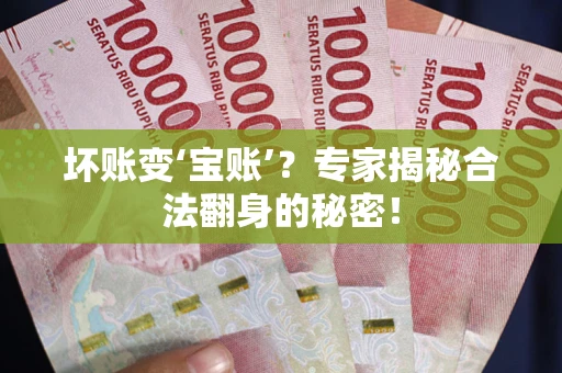 北京坏账变‘宝账’？专家揭秘合法翻身的秘密！