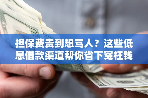 北京担保费贵到想骂人？这些低息借款渠道帮你省下冤枉钱