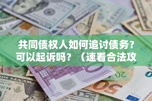 北京共同债权人如何追讨债务？可以起诉吗？（速看合法攻略）